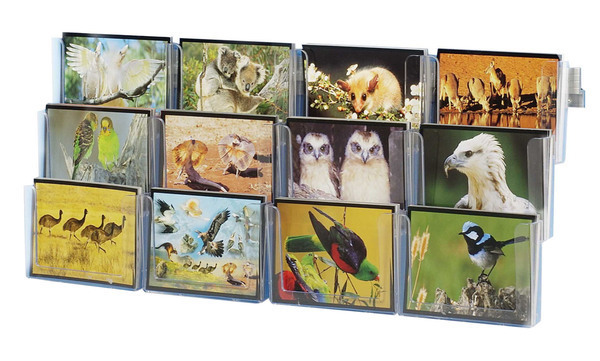 Wall Brochure Holder Combo holds 12 Landscape Postcards